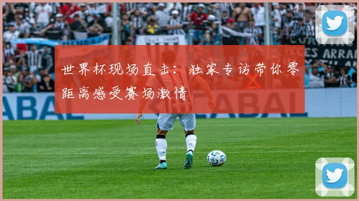 世界杯现场直击:独家专访带你零距离感受赛场激情