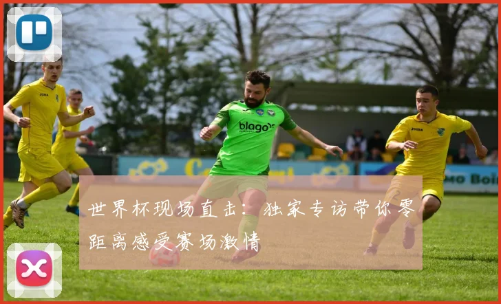 世界杯现场直击:独家专访带你零距离感受赛场激情