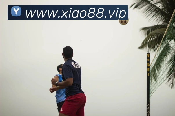 beat365官方网站入口平台生态图