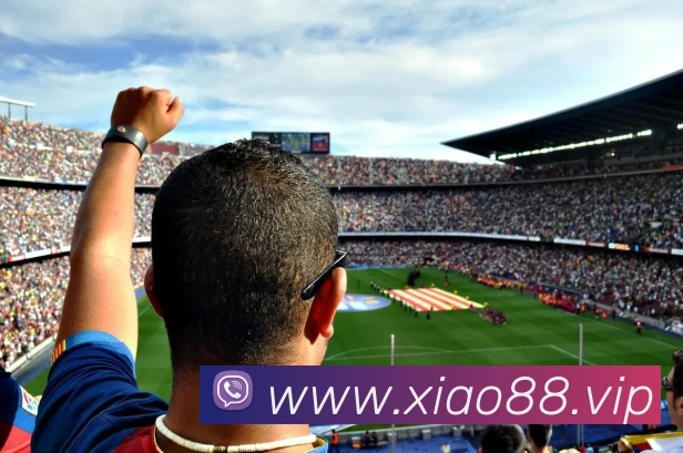 mksports官方网站登录入口服务体系