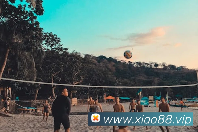 beat365官方网站入口全站App